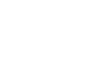 Megami logo